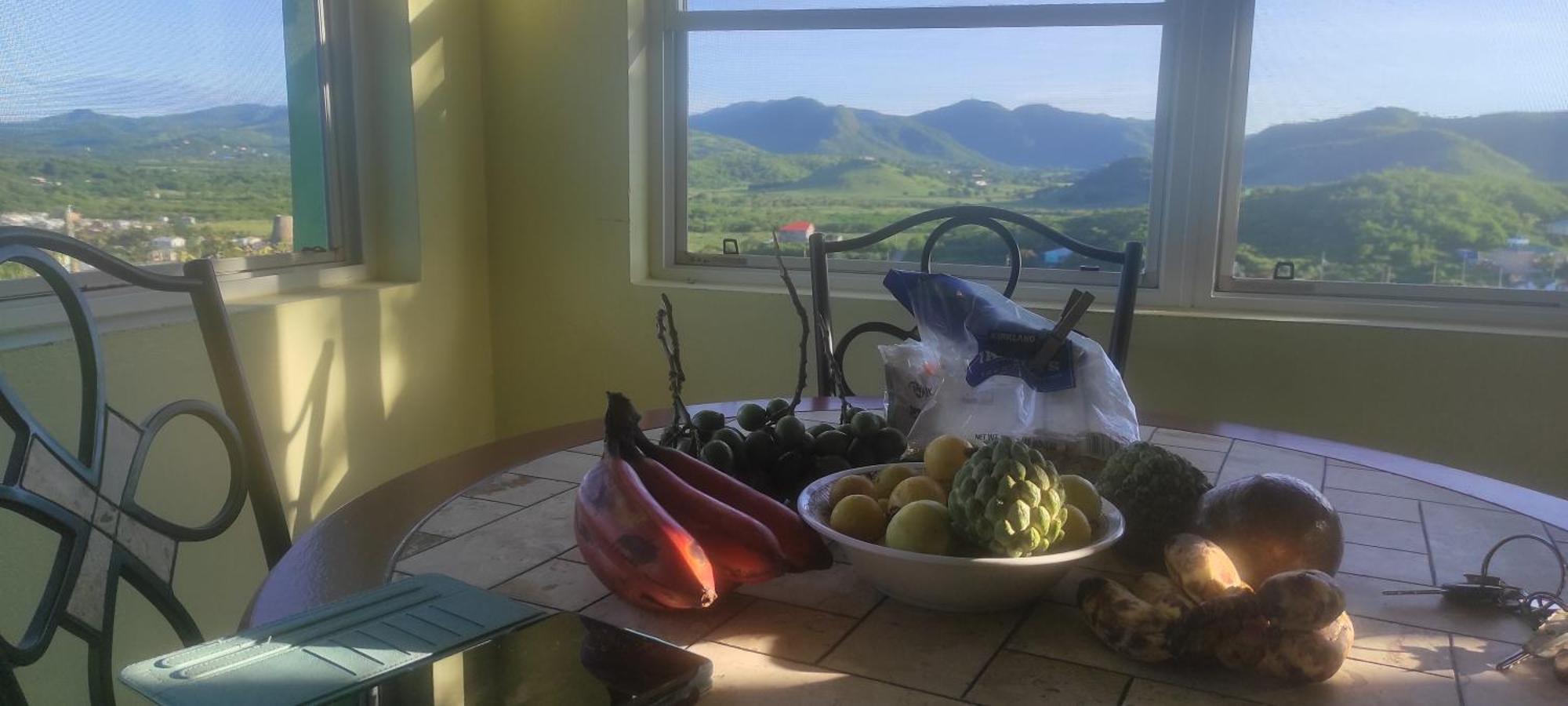 Zeus Estate Guesthouse St. John's Zewnętrze zdjęcie
